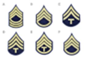 Enlisted & Technician Rank Insignia – Blue & Gold Variants