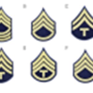 Enlisted & Technician Rank Insignia – Blue & Gold Variants